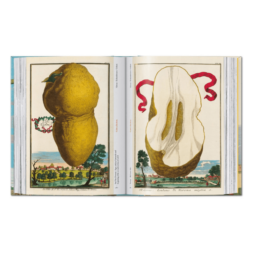 Volkamer: The Book of Citrus Fruits