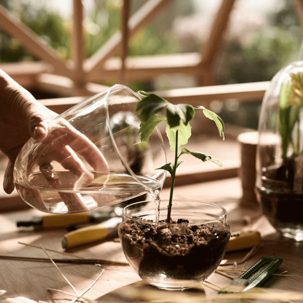 Grow Greenhouse