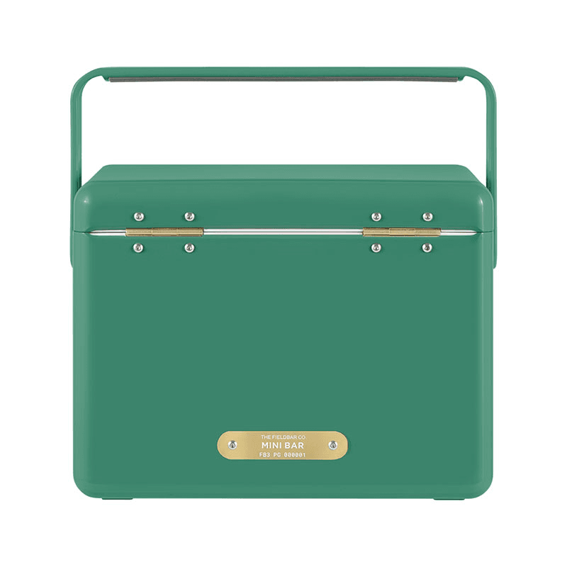 Mini Bar and Swing Sling