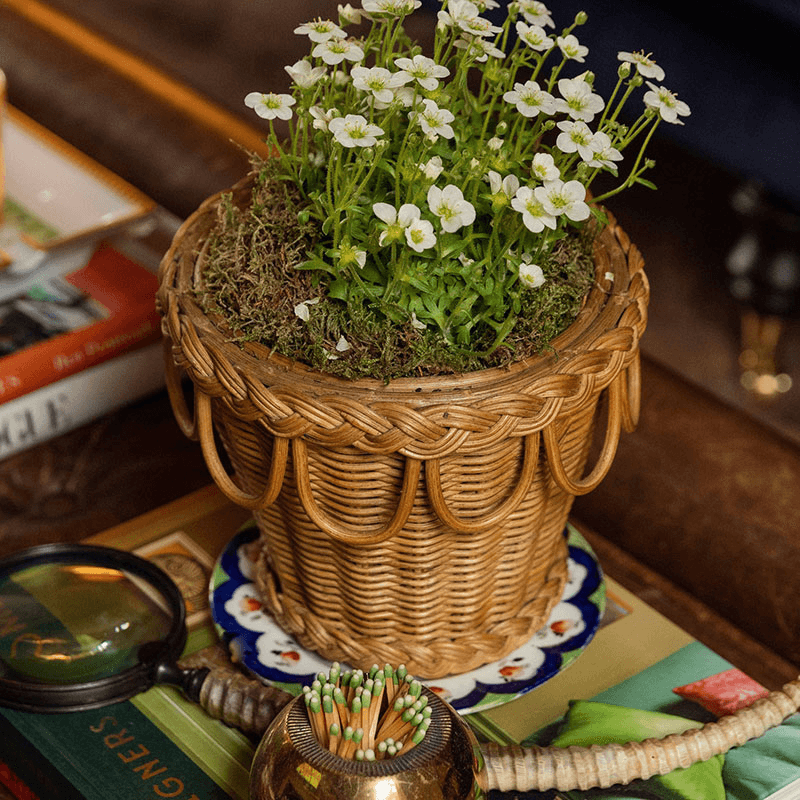 Rattan Plant Pot