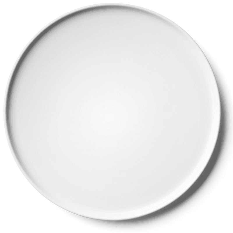 Collective Set of 2 Dinner Plates