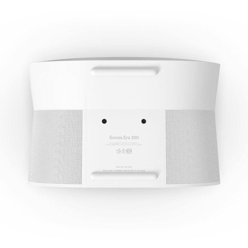 ERA 300 Wireless Speaker