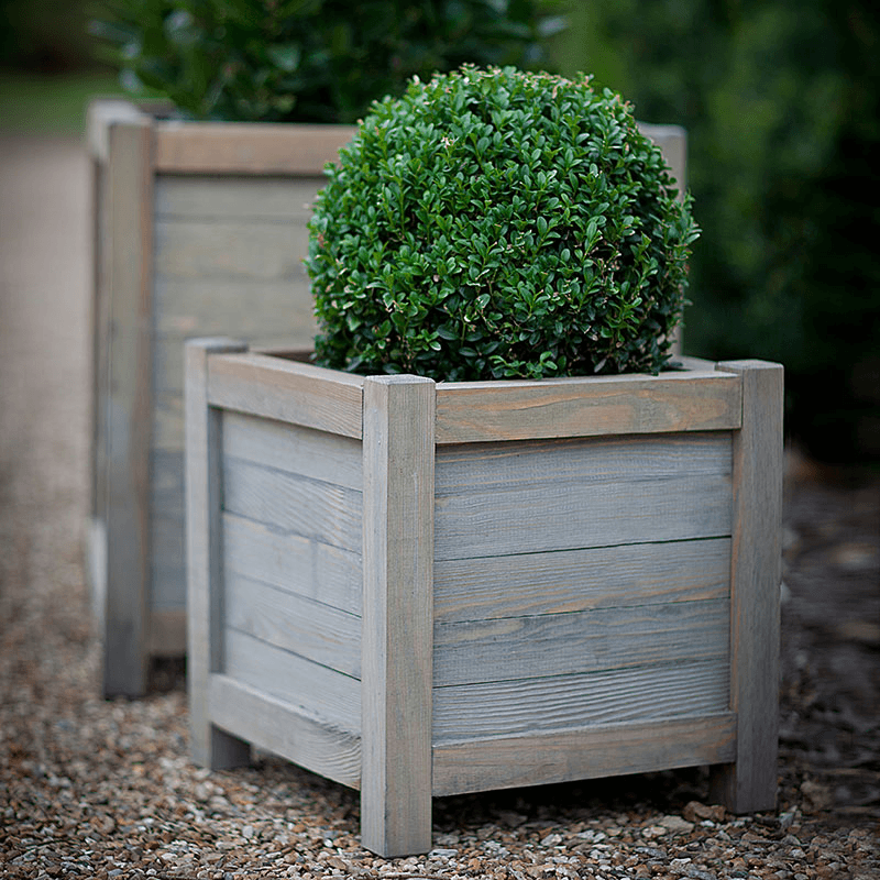 Square Planter, Spruce