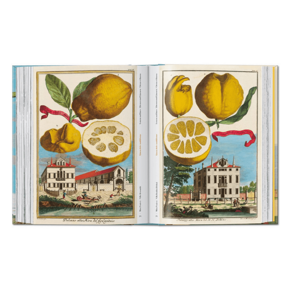 Volkamer: The Book of Citrus Fruits
