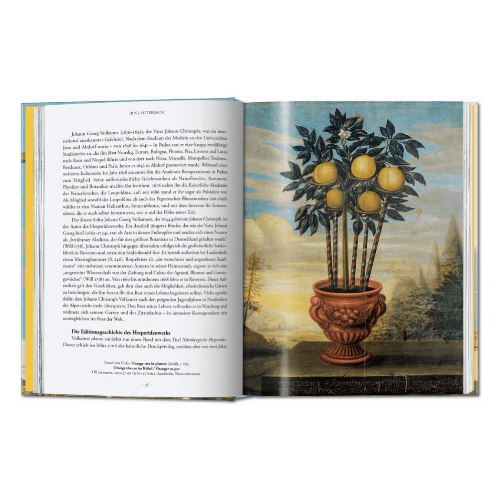 Volkamer: The Book of Citrus Fruits