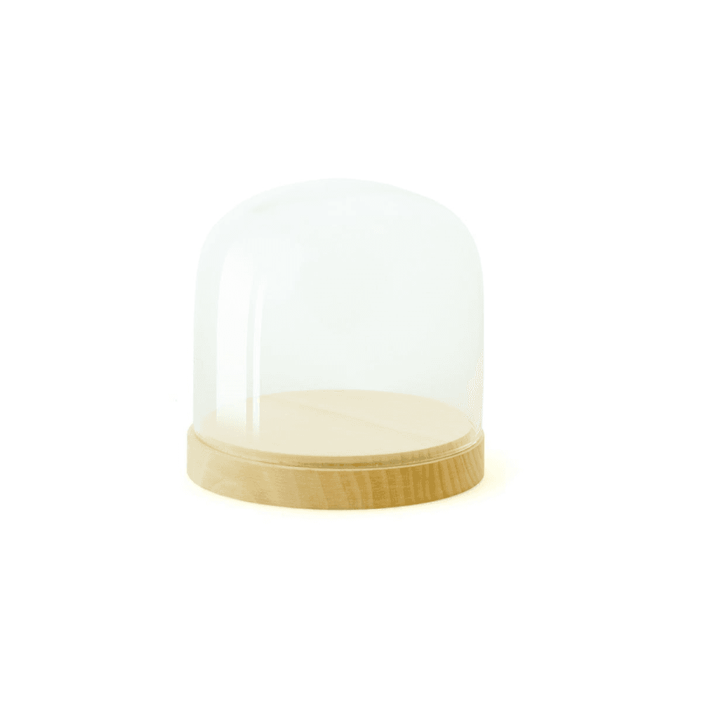 Pleasure Dome Display Case, Beech