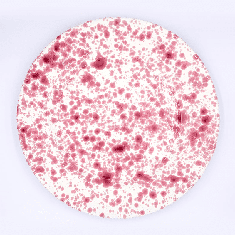 Splatter Dinner Plate