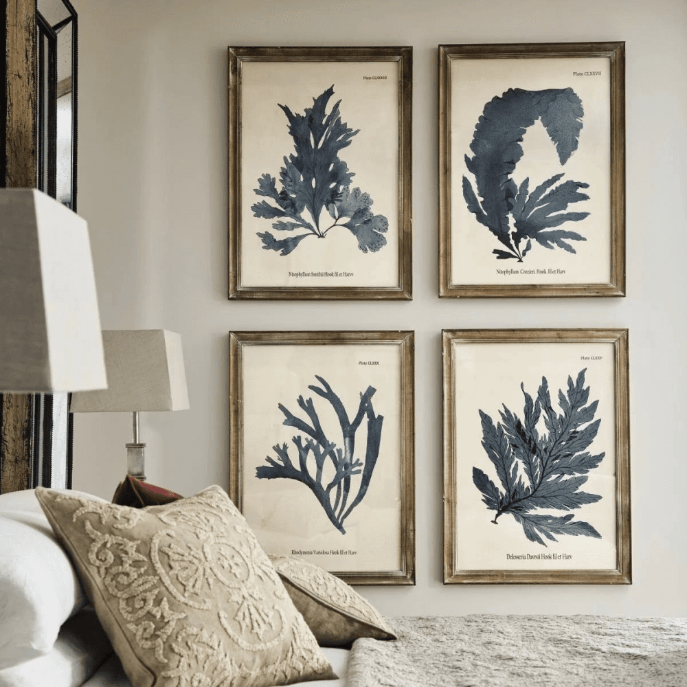 Set of 4 Framed Prints, Seaweed