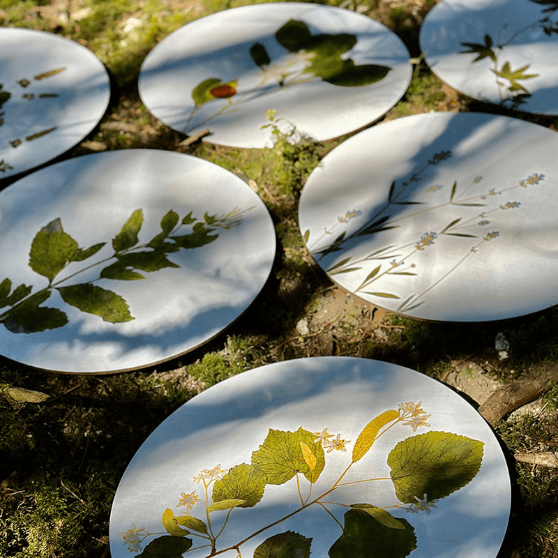 Herbarium Set of 6 Round Placemats, Green