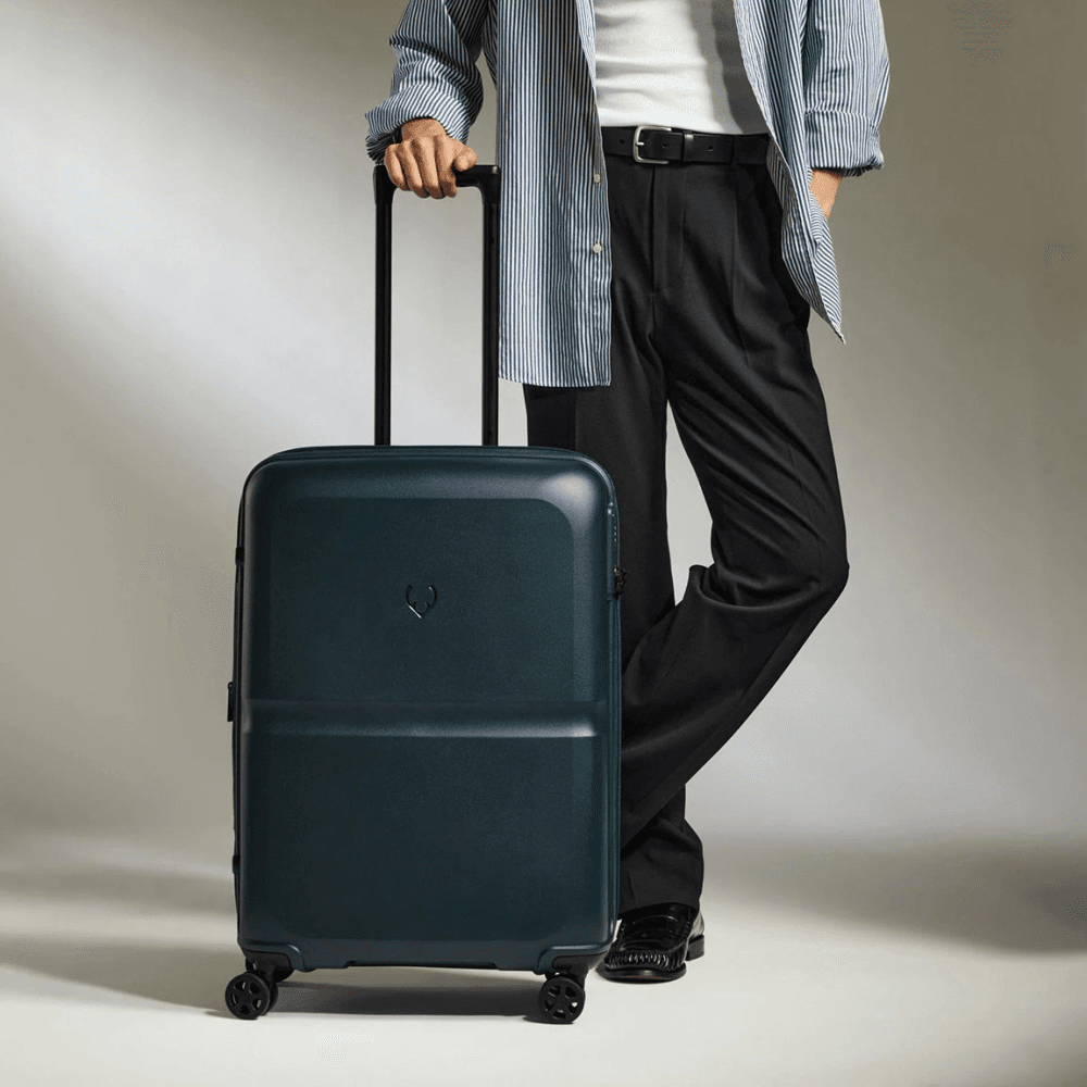 Single Stripe Suitcase