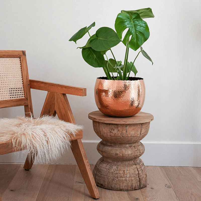 Hammered Bowl planter, Copper