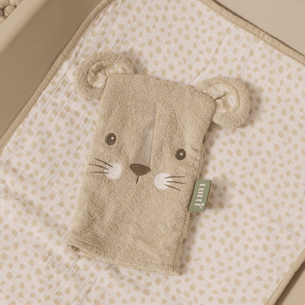 Wash Mitt