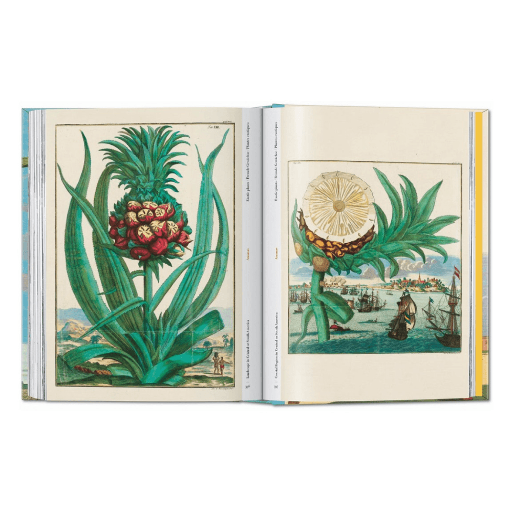 Volkamer: The Book of Citrus Fruits