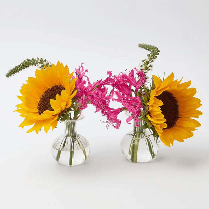Talita Set of 2 Bud Vases, Clear