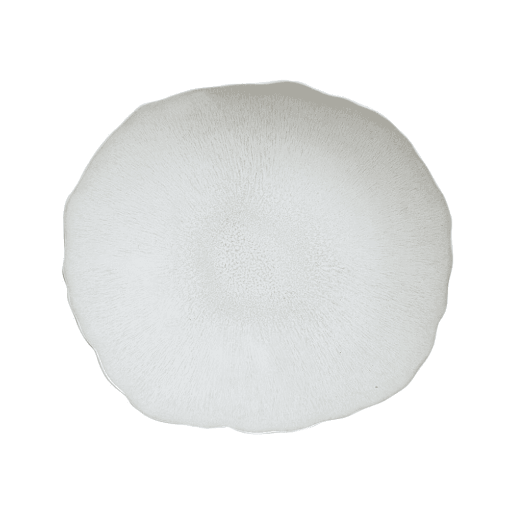 Plume Pair of dinner plates