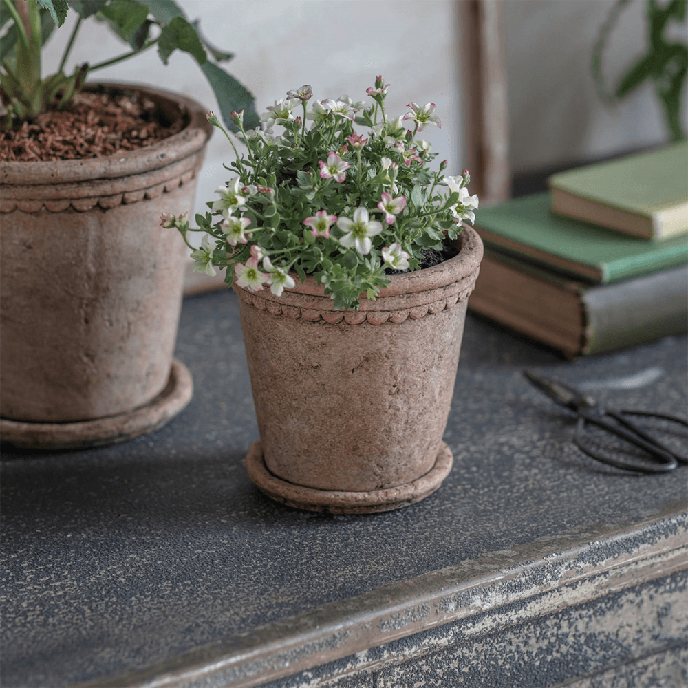 Milston Planter