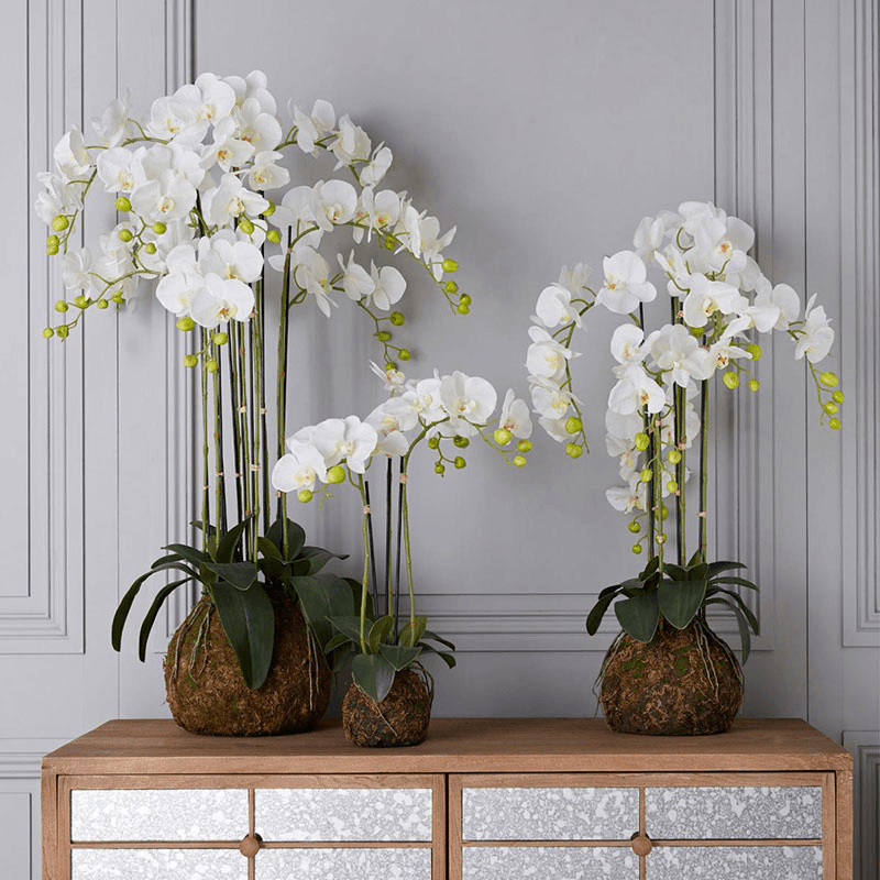 Faux Planted Phalaenopsis Orchid, white