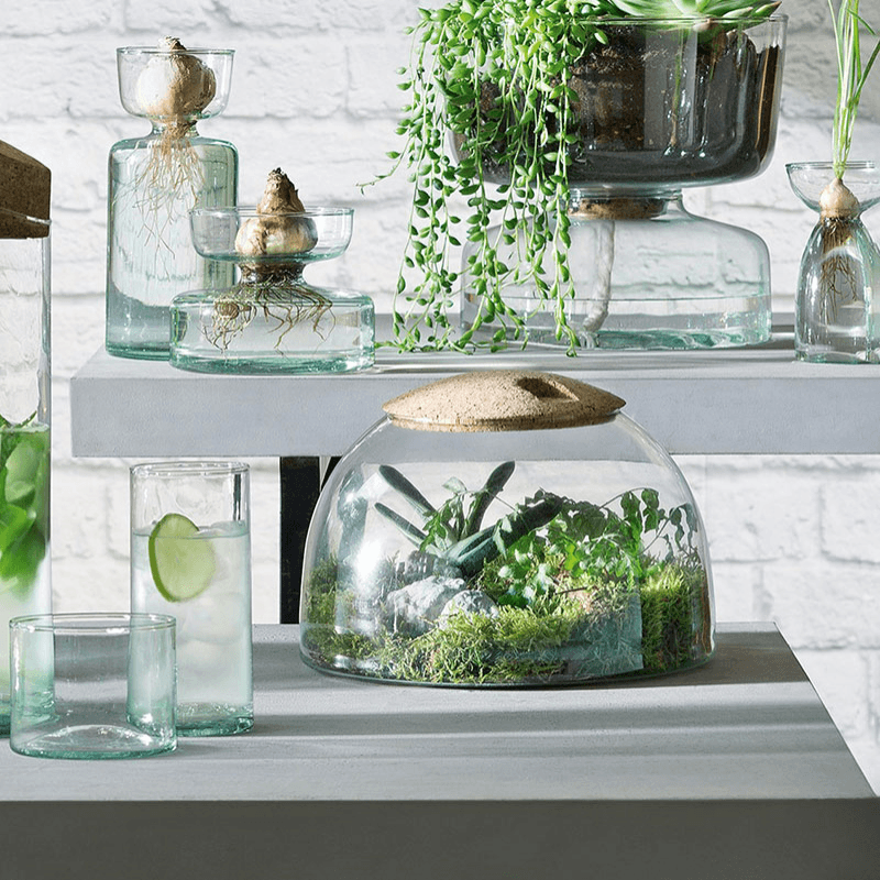 Canopy Garden Terrarium