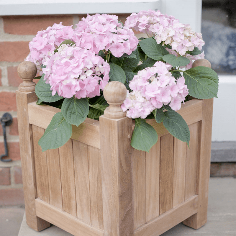 Square Planter