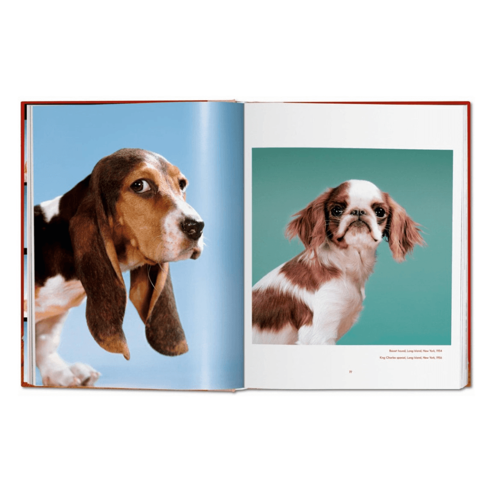 Walter Chandoha: Dogs, Photographs 1941-1991