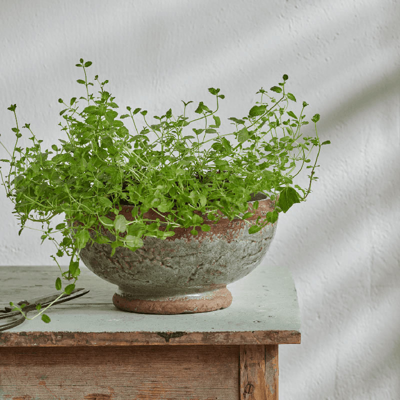Broseley Footed pot, Moss