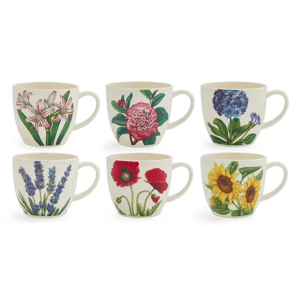 Botanic Garden Bloom Set of 6 Latte Mugs, Multi