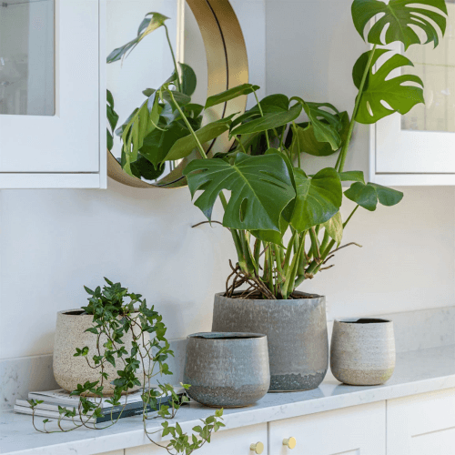 Image showing the Celeste Planter product.
