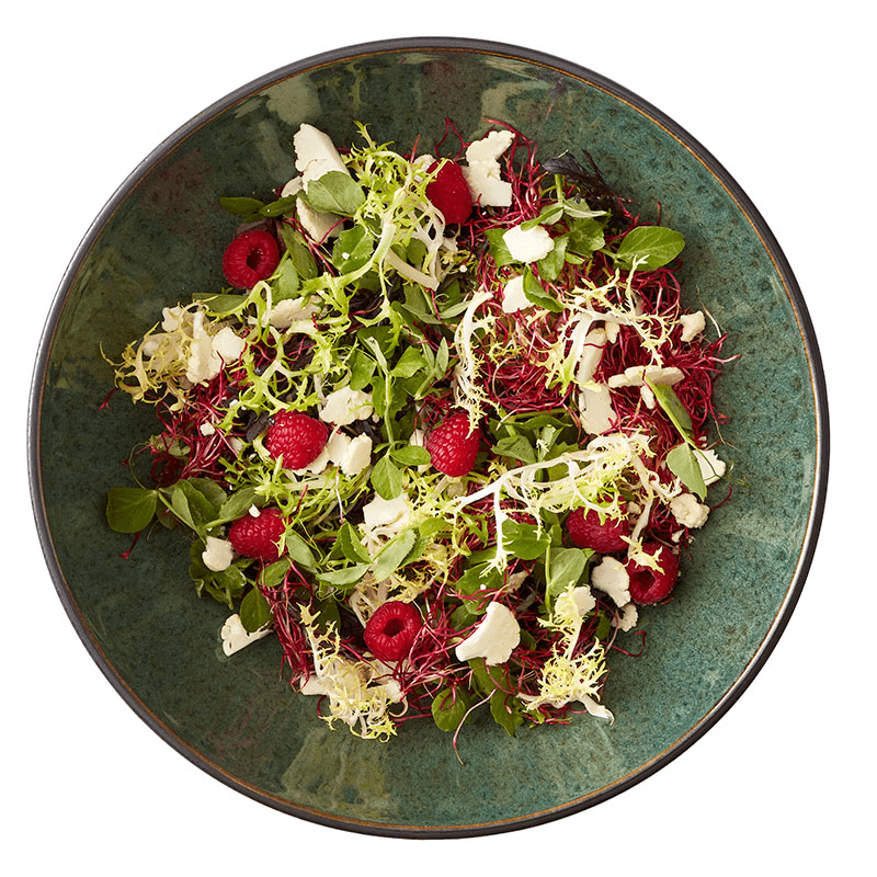 Gastro Salad Bowl