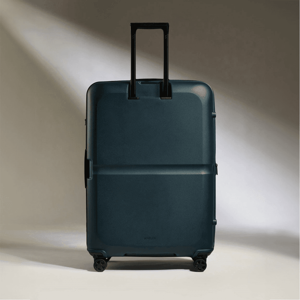 Single Stripe Suitcase