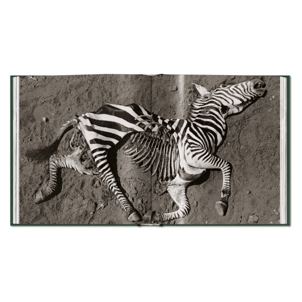 Peter Beard: The End of the Game