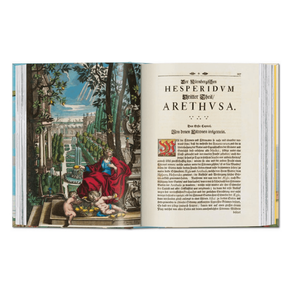 Volkamer: The Book of Citrus Fruits