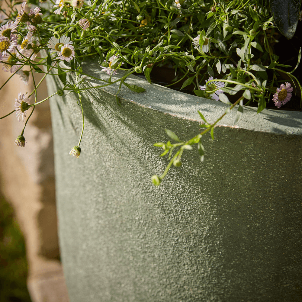 Budra Set of 3 Curved Planters