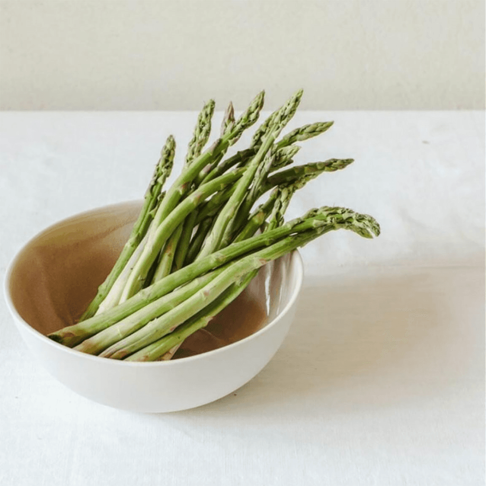 Maguelone Serving Bowl