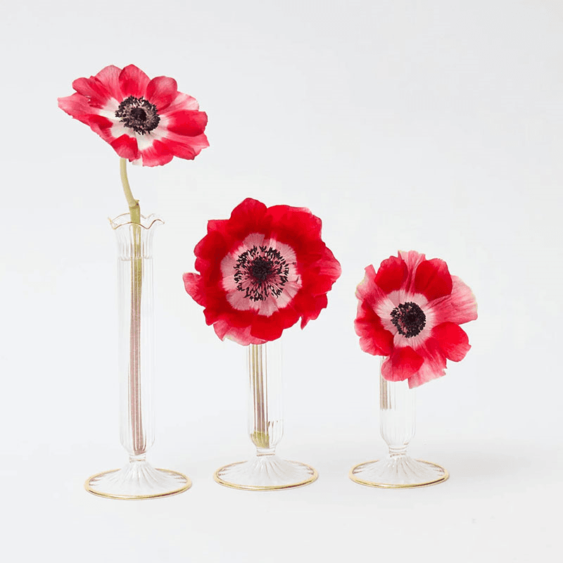 Single Stem Set of 3 Bud Vases