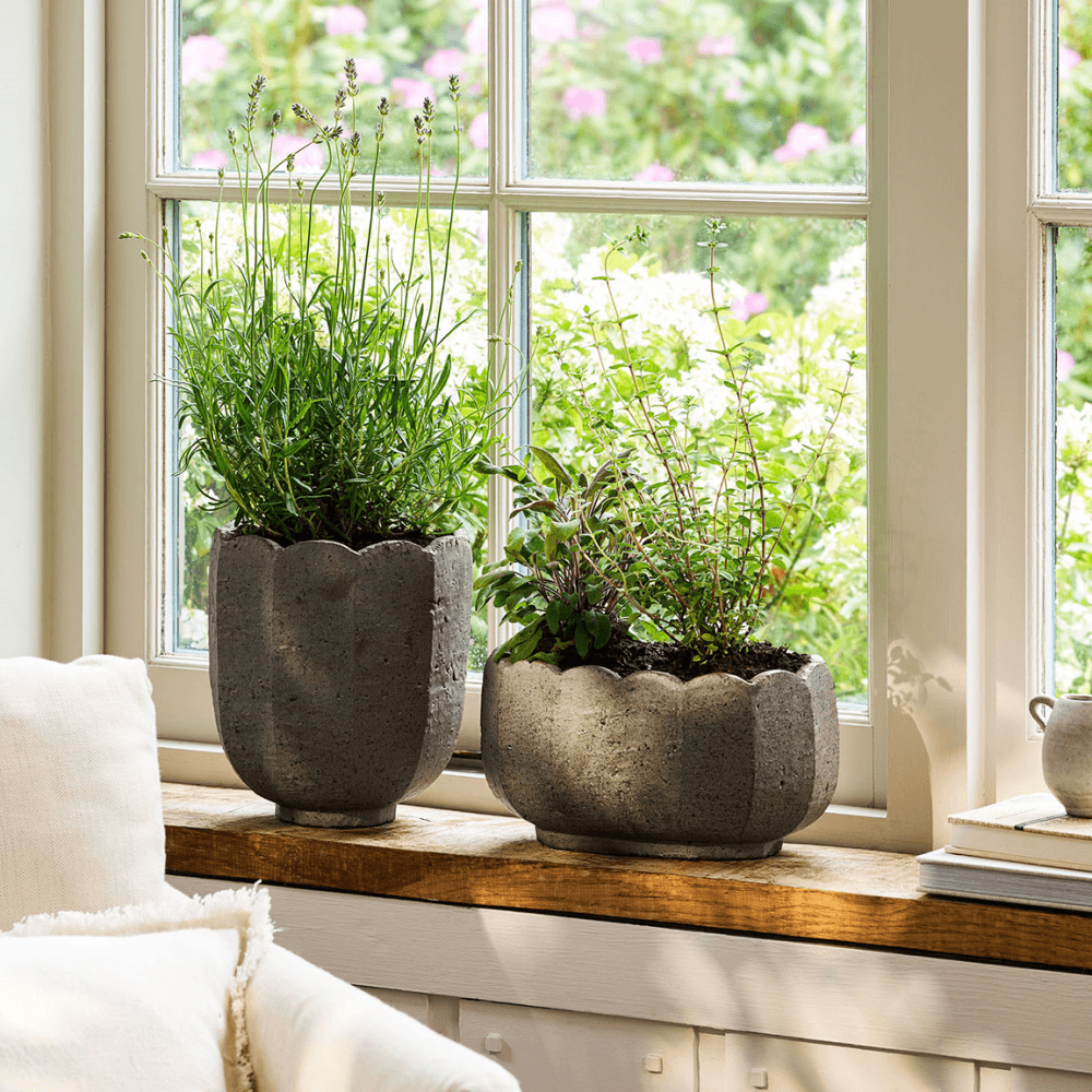 Lidstone Scallop Plant Pot, Dark Grey