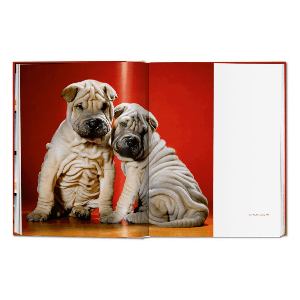 Walter Chandoha: Dogs, Photographs 1941-1991