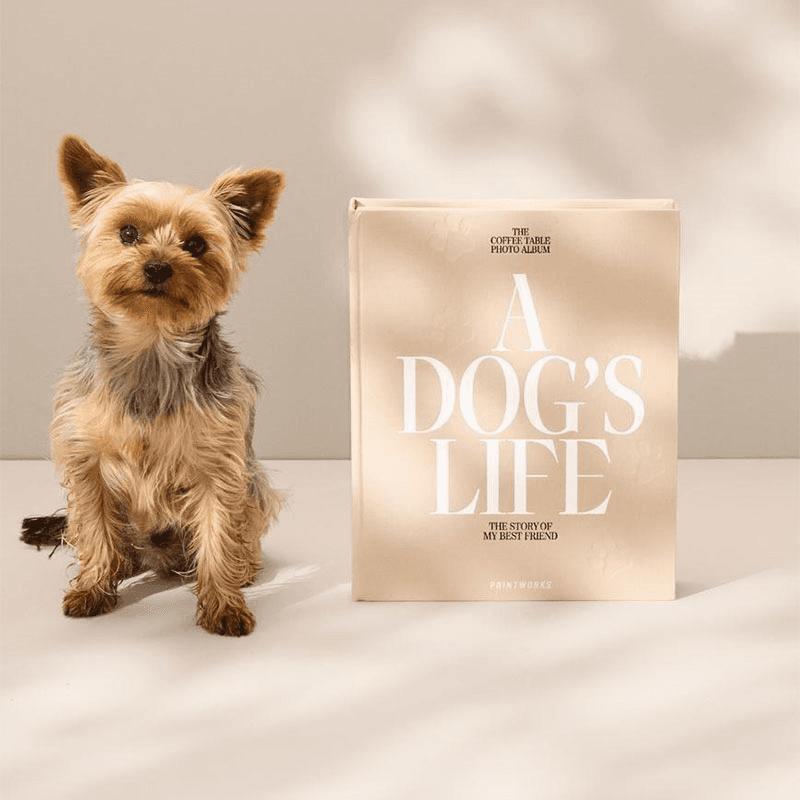 A Dog's Life Dog Photo Album, Beige