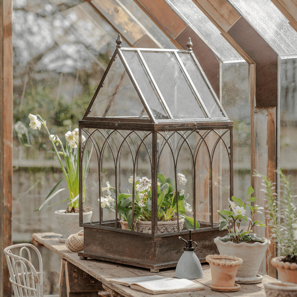 Petworth Indoor Greenhouse, Black