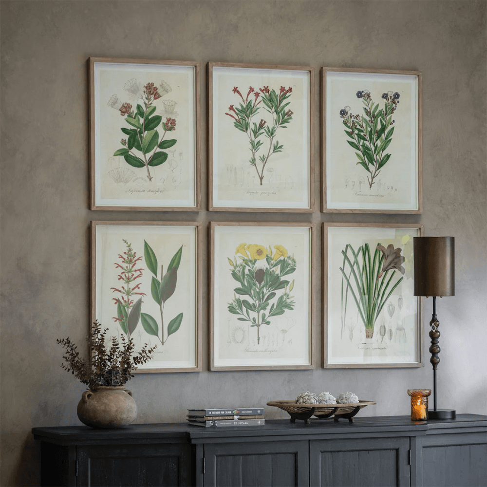 Ormington Set of 6 Wildflower Framed Prints, Natural