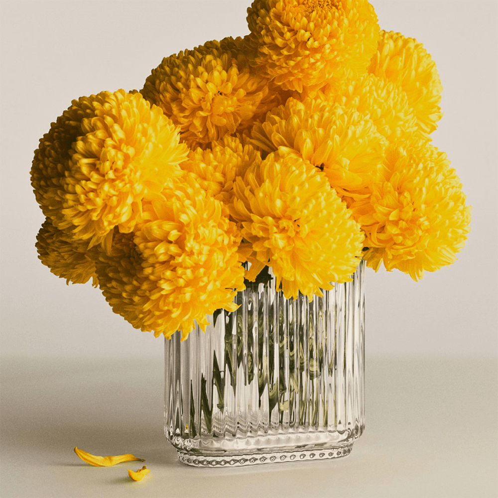 Bernadotte Oval Vase, Clear