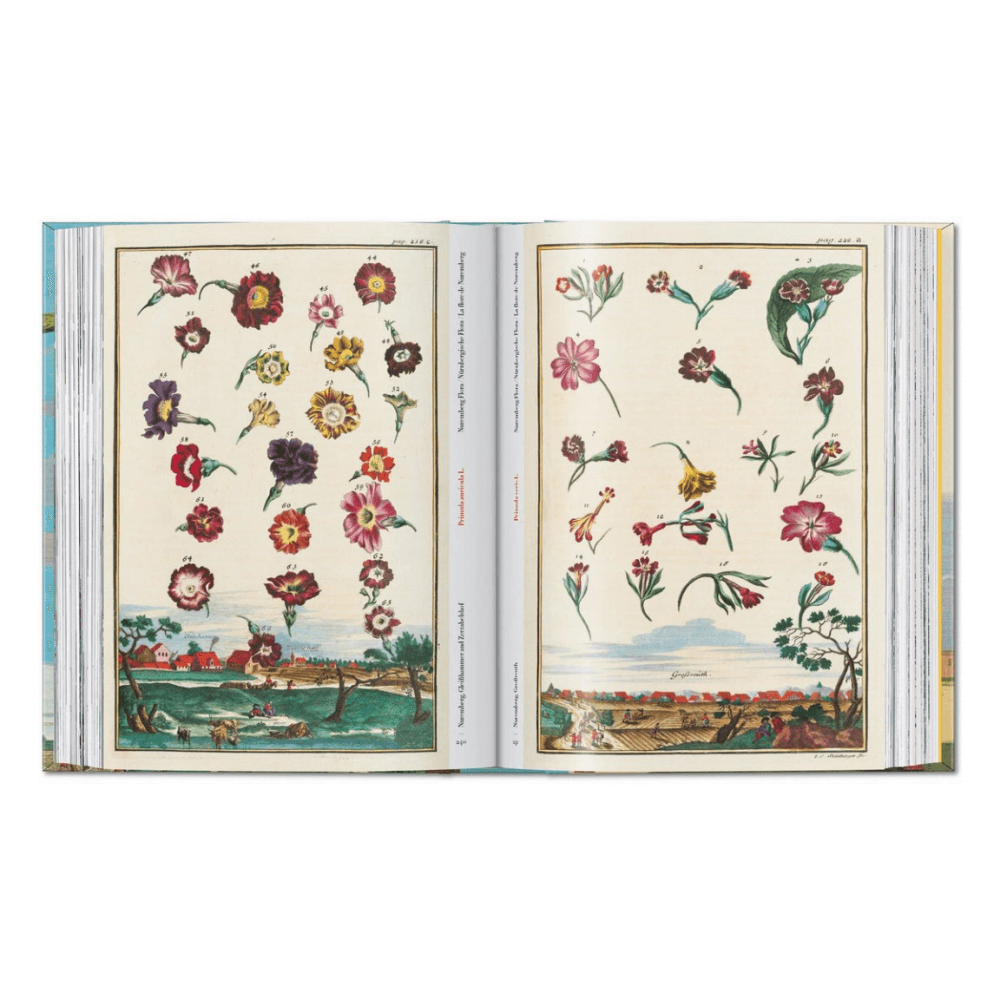 Volkamer: The Book of Citrus Fruits