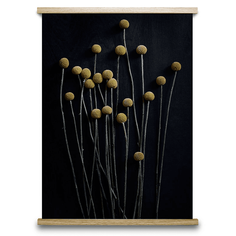 Still Life 01 Art Print