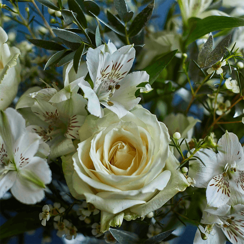 Letterbox 12 Month Flower Subscription