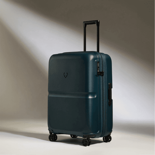 Image showing the Single Stripe Suitcase product.