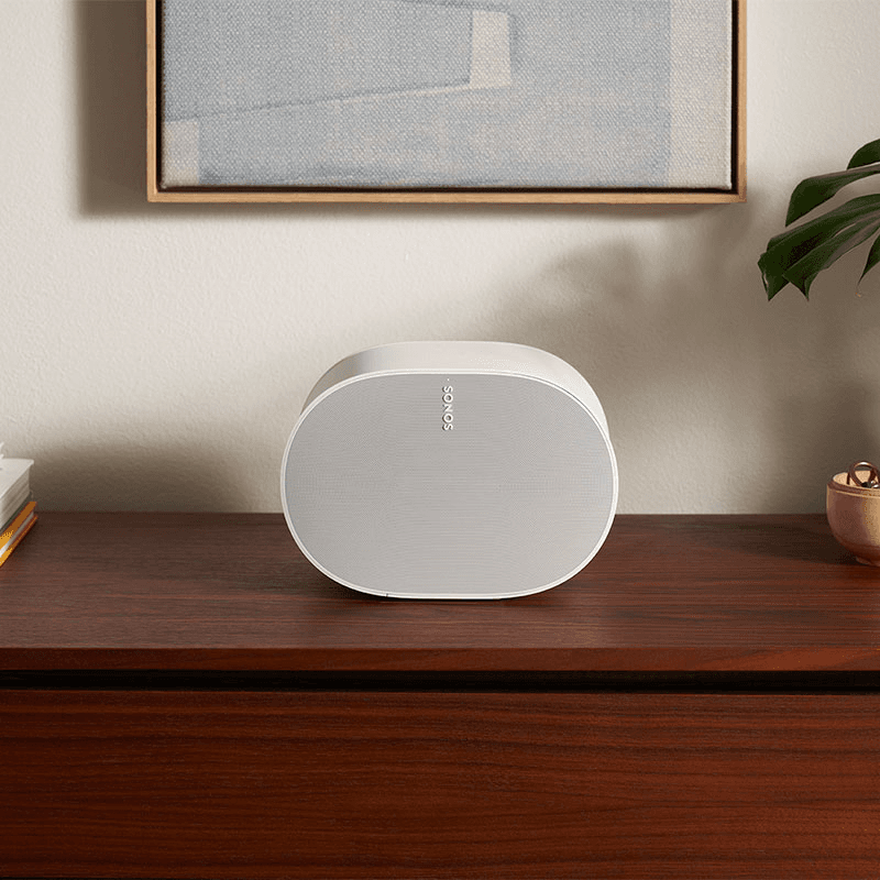 ERA 300 Wireless Speaker