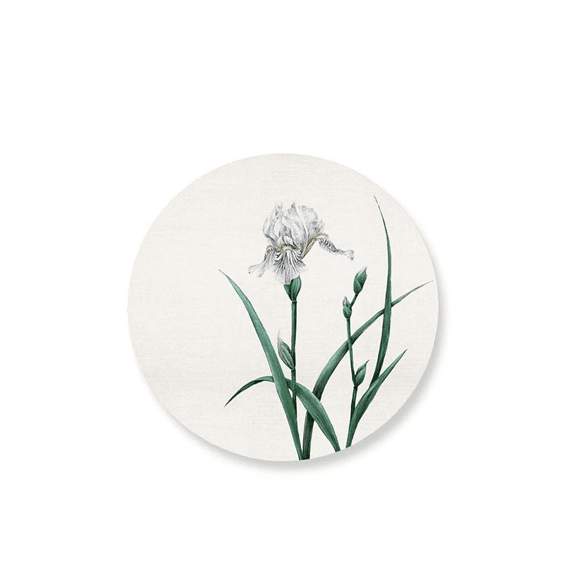 Iris Set of 4 Round Placemats, Multi