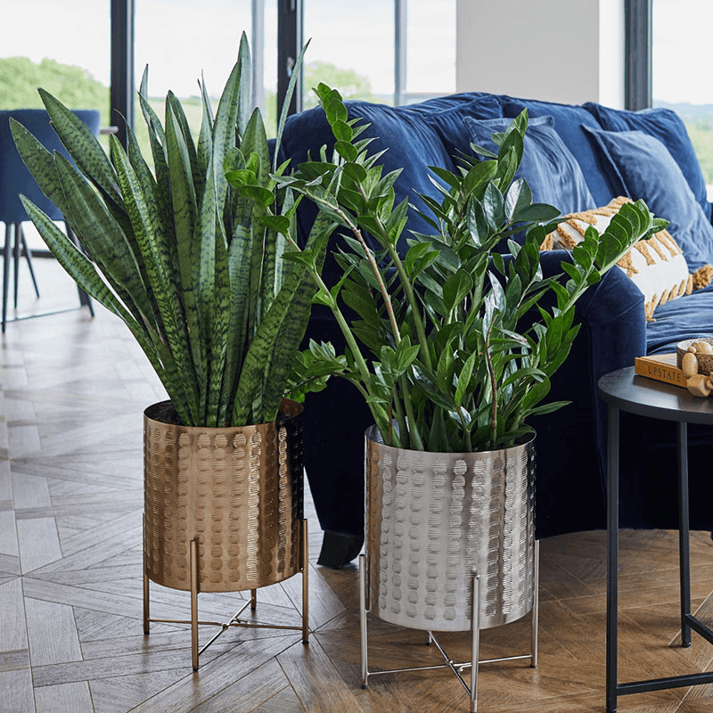 Zendaya Planter with Stand