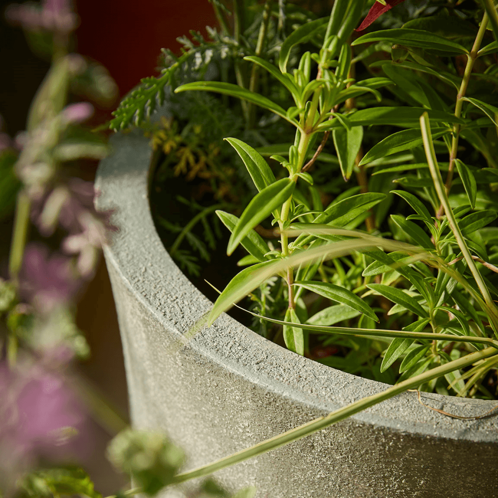 Budra Set of 3 Curved Planters