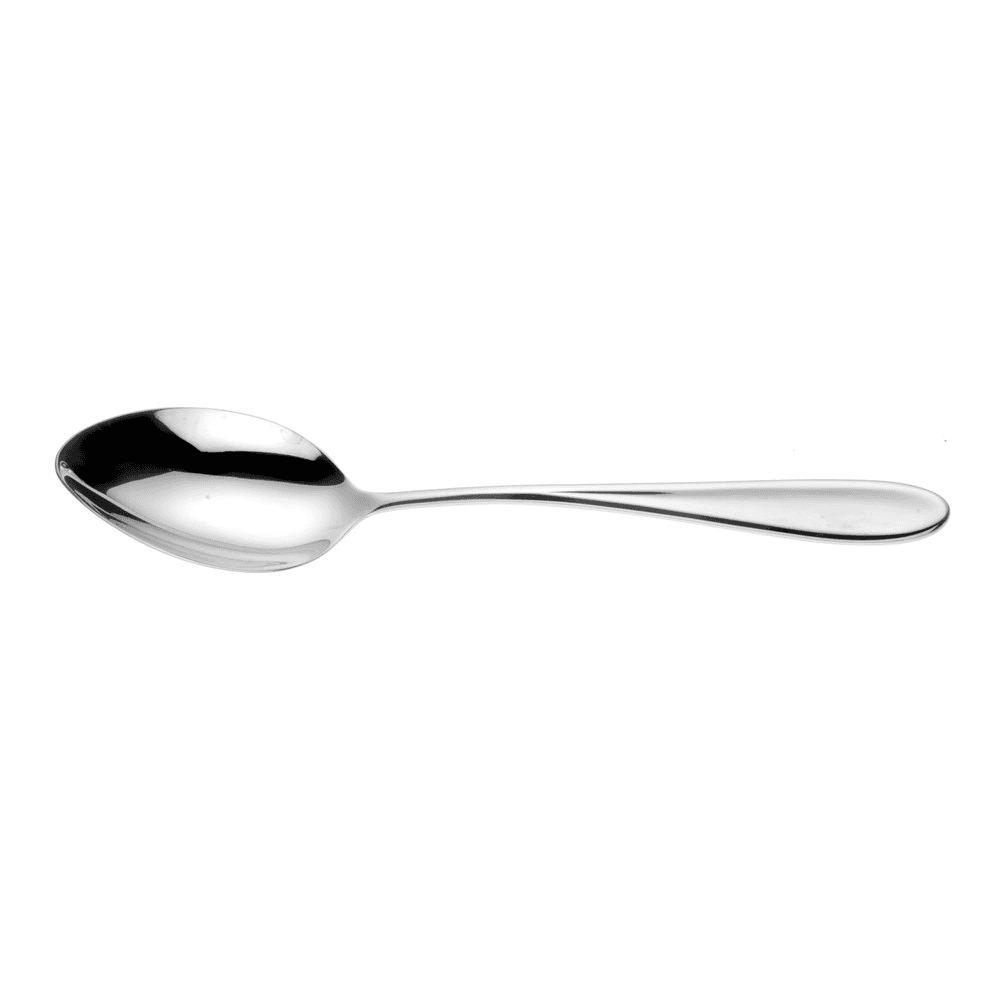 Rivelin Serving Spoon, Stainless Steel