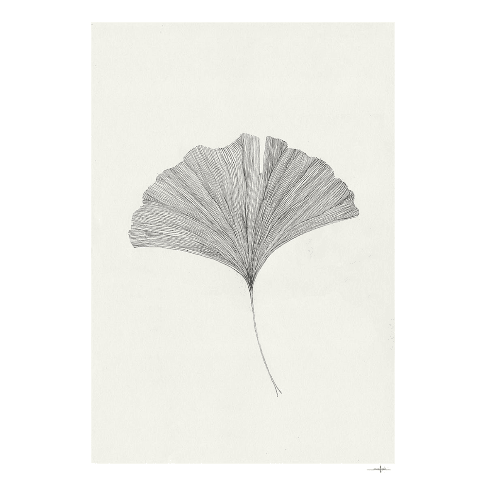 Grinko Leaf - Ana Frois Art Print, Multi